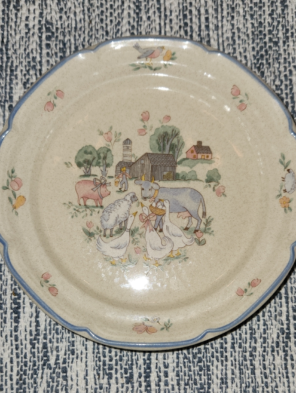 International Chit Chat lunch plate